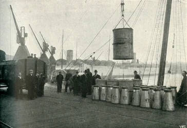 Leite francês sendo desembarcado em Southampton, 1902.