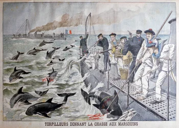 Barcos de torpedo franceses que caçam botos, 1903