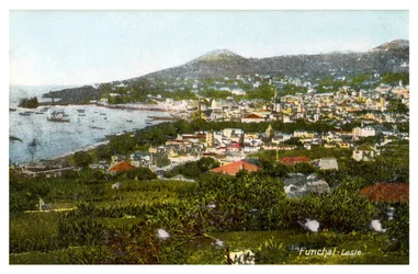 Funchal, Madeira, início do século XX