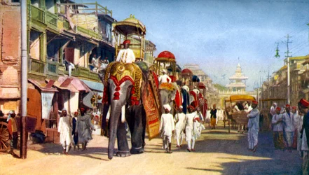Elefantes do estado de Gaekwars, bazar de Manipuri, Bombaim, Índia, c1924
