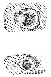 Galileu, desenho, de, crateras lunares, 1611, c1655