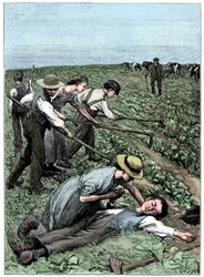 Sistema de quadrilhas de trabalho infantil, c1885