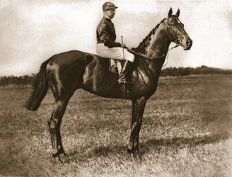 Georges Stern em Sunstar, 1911.