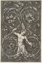 Grotesco com figura masculina com parte inferior do corpo e cabeça de pergaminhos de acanto, ca. 1515-1600.