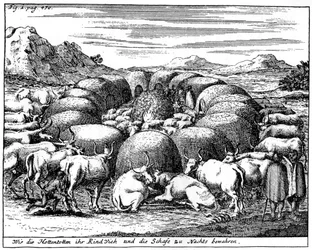 Guardando ovelhas e gado à noite, África do Sul, século XVIII 1931