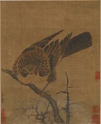 Falcão em um galho sem folhas, possivelmente dinastia Yuan, 1279-1368.