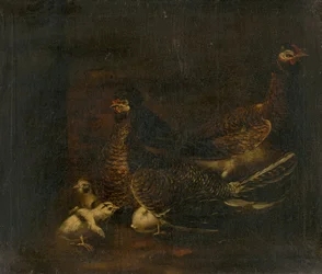 Galinha com Frango