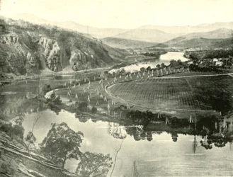 Hop Gardens na Tasmânia, 1901.