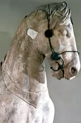 Cavalo, Quadriga do mausoléu em Halikarnassos, 350 aC