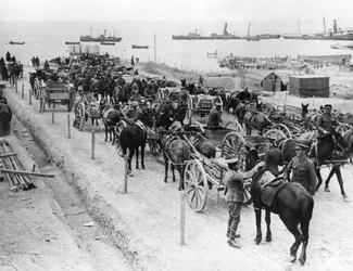 Transporte puxado a cavalo, operações aliadas em Dardanelos, Turquia, 1915-1916