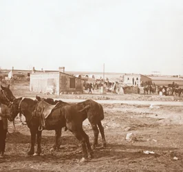 Cavalos, Somme-Peat, norte da França, c1914-c1918