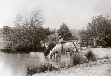 "Horses drinking at pond", vers les annees 1890