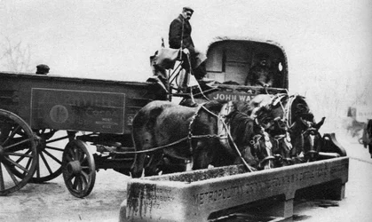 Cavalos bebendo de uma calha de gado, Londres, 1926-1927