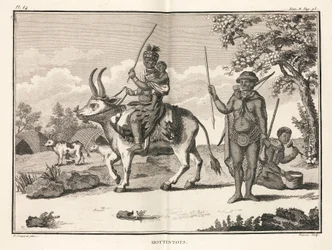 "Hottentots", África