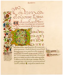 Letra iluminada D, século XV
