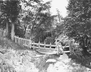 Nas colinas de Berkshire, Massachusetts, EUA, c1900.