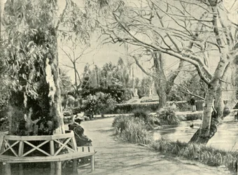 Nos jardins botânicos, Adelaide, 1901.