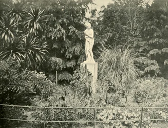 Nos jardins de Fitzroy, Melbourne, 1901.
