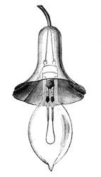 Lâmpada incandescente de filamento, lâmpada incandescente, de Lane-Fox, 1883.