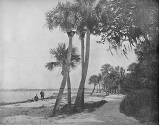 Indian River, Flórida, c1897.