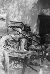 Mulher indiana da casta mais baixa, Howshera, 1917