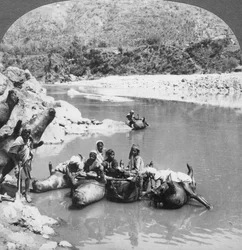 Peles de boi infladas usadas como balsas no rio Sutlej, Punjab, Índia, c1900s