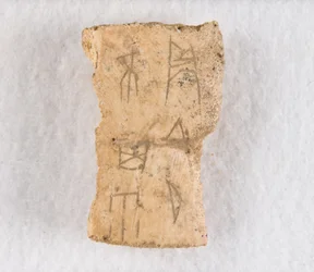 Osso de oráculo de fragmento de osso inscrito, final da dinastia Shang, ca. 1300-1050 AEC.