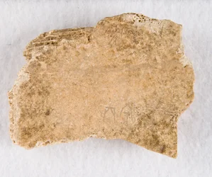 Osso de oráculo de fragmento de osso inscrito, final da dinastia Shang, ca. 1300-1050 AEC.