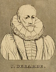 J. Gerarde, c 1545-1612, 1830.