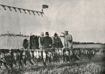 Rei Edward VII, inspecionando o saco em Sherborne Estate, 1902, 1910.