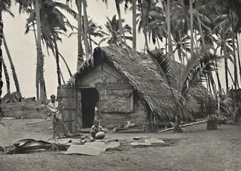 Coqueiros e chapéu nativo feito de folhas de coco Nos troncos à esquerda, folhas amarradas contra