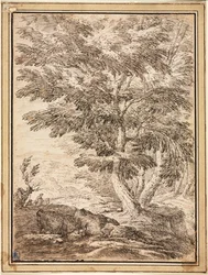 Paisagem com grupo de árvores, século XVII.