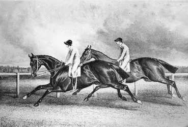 Lancelot e Maroon, c1840s, 1911