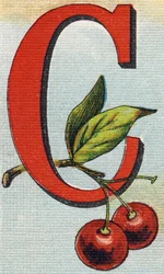 Letra C: cerejas. Gravura em "Alfabeto de ma petite fille". Bernardin-Bechet e Fils, livreiro-editores, Paris, por volta de 1895. Álbum inquebrável em lona. Bibliotheque des Bebes. 12 páginas. Álbum contendo um método de leitura e um abece ilustrativo.