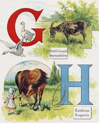 Carta G e H: Bons patos, cabra gananciosa, ousadia e Haquenee. Gravação em "ABC L