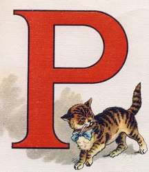 Carta P: gatinho. Gravação em "ABC L