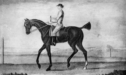 Motorista pequeno, c1850-1900, 1911