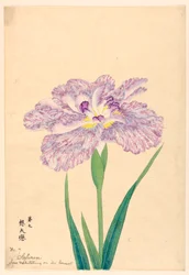 Love Meditating on Its Consort (Sofuren), No. 7, ca. 1910