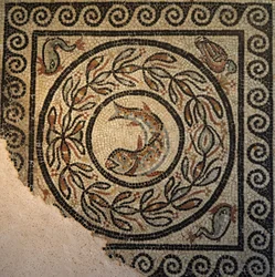 Lyon, região de Auvergne, Rhône Alpes, departamento de Rhône. 69000
Mosaico de Choulans, descoberto em 1967. Representar um peixe
