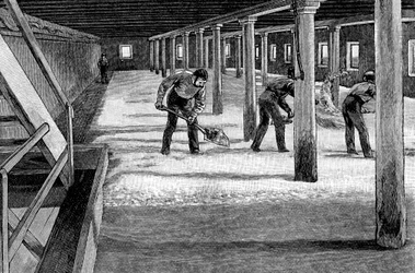 Chão de maltagem em uma cervejaria americana, 1885