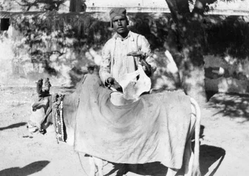 Homem com uma vaca deformada, Índia, 1916-1917