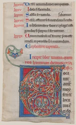 Iluminação de manuscrito com inicial V, de uma Bíblia, ca. 1175-95.