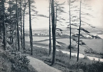 Menai - de Bangor Wood, 1895