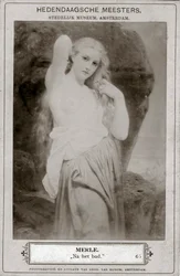 Merle, século c19