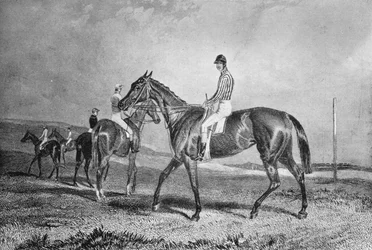 Mincepie, século XIX, 1911