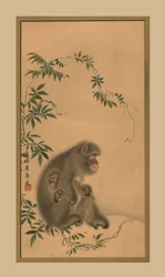 Macaco, século XIX, 1886