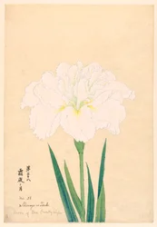Moon of the Frosty Night (Shimoyo no Tsuki), No. 38, ca. 1910