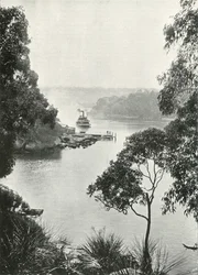 Mosmans Bay, de Cremorne Jetty, c1900.