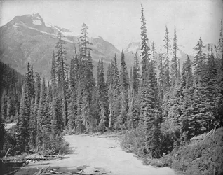 Montagens Cheops e eremita, escala das Montanhas Rochosas de Selkirk, c1897.