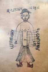 Museum of Traditional Vietnamese Medicine, The channels and vessels, Livro de acupunctura, Cidade de Ho Chi Minh, Vietname